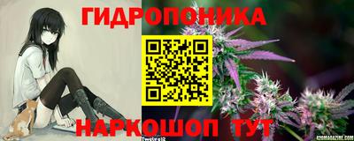 гашик Бугуруслан