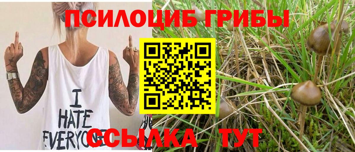 Галлюциногенные грибы MAGIC MUSHROOMS Ярославль