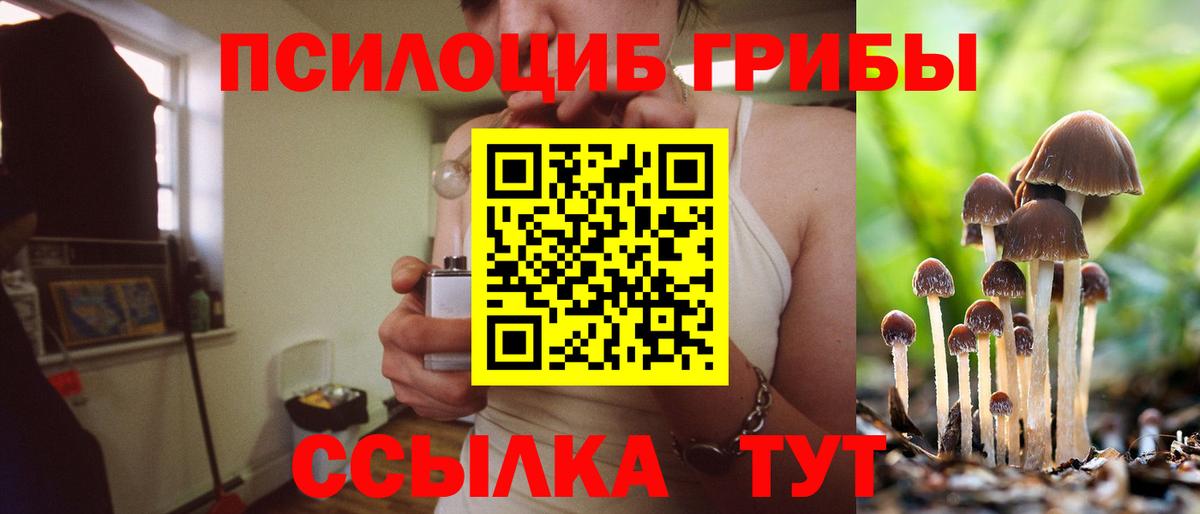 Галлюциногенные грибы прущие грибы  Вход с VPN  Галлюциногенные грибы ЛСД  Ярославль 